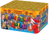 Новогодние цветы Фейерверк купить в Вилюйске | vilyujsk.salutsklad.ru