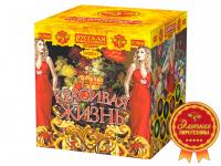 Красивая жизнь Фейерверк купить в Вилюйске | vilyujsk.salutsklad.ru