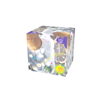 Новогодняя ночь Салют купить в Вилюйске | vilyujsk.salutsklad.ru