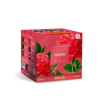 Пионы Салют купить в Вилюйске | vilyujsk.salutsklad.ru