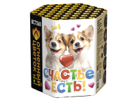 Счастье есть! Салют купить в Вилюйске | vilyujsk.salutsklad.ru