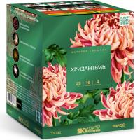 Хризантемы Фейерверк купить в Вилюйске | vilyujsk.salutsklad.ru