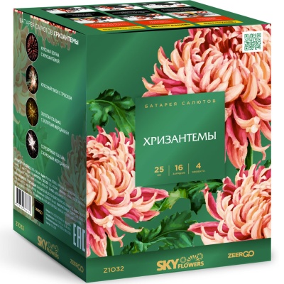 Хризантемы Фейерверк купить в Вилюйске | vilyujsk.salutsklad.ru