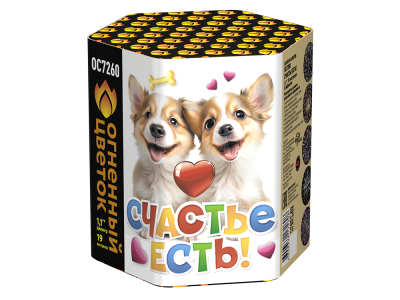 Счастье есть! Салют купить в Вилюйске | vilyujsk.salutsklad.ru