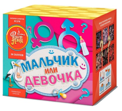 Мальчик или девочка М Фейерверк купить в Вилюйске | vilyujsk.salutsklad.ru